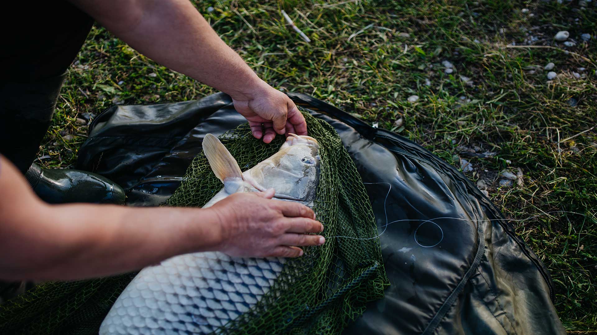 Carp fishing landing net