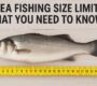 uk fishing size limits